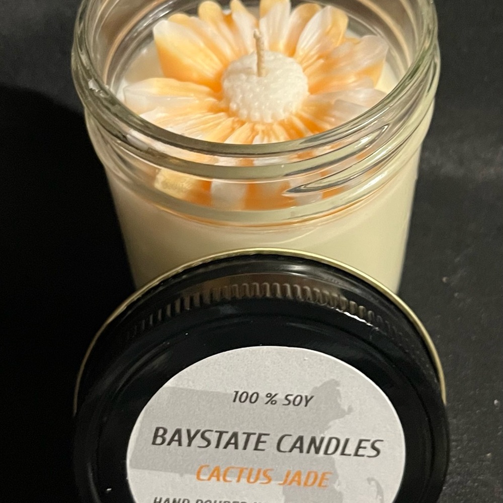 8 Ounce - 100% Soy - Cactus Jade - Scented Candle - Organic - Clean Burning